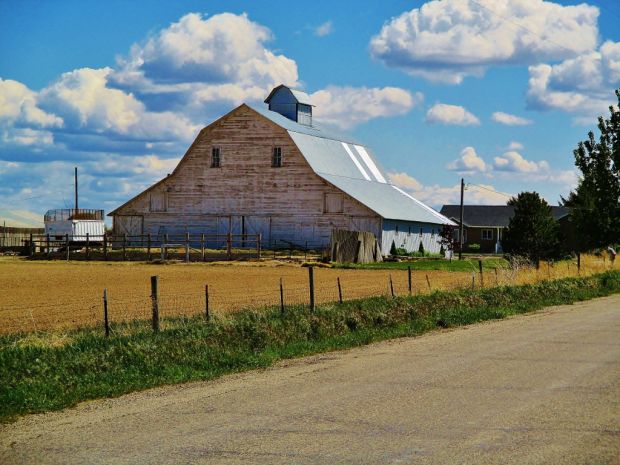 Barn